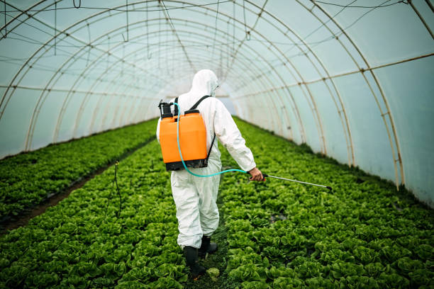 Trusted Southwest Ranches, FL Pest Control Experts